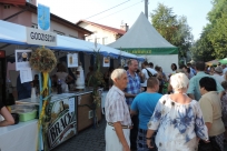 Stragany podczas dożynek